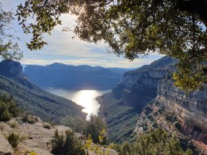 Blick über ein grünes Tal hinunter zu einem stillen Gewässer im Sonnenlicht